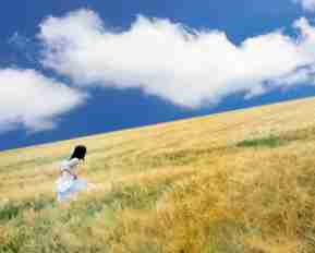 智﻿能‍排﻿序‌ 翻﻿译﻿英﻿文﻿